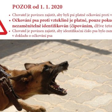Od 1.1.2020 – povinné čipování psů