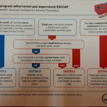 Preventivní program odčervování psů doporučený ESCCAP