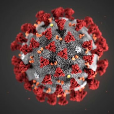 Opatření spojená s aktuální epidemiologickou situací