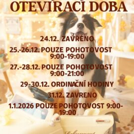 Ordinační doba v průběhu vánočních svátků 2025