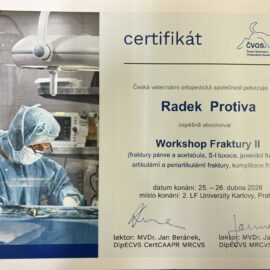 Fraktury pánve a acetabula, S-I luxace, juvenilní fraktury, artikulární a periartikulární fraktury, komplikace fraktur