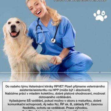 Přijmeme veterinárního asistenta/asistentku