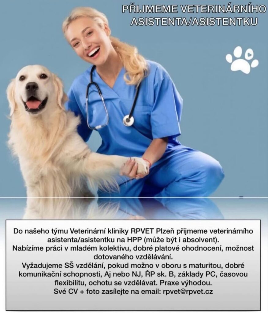 Rpvet veterinární klinika Plzeň - přijmeme veterinární asistentku asistenta