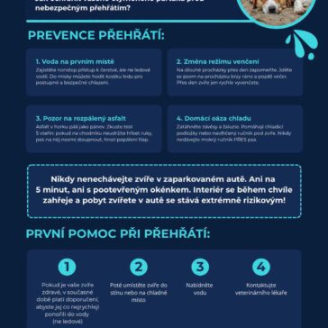 Tropická vedra – Jak předcházet přehřátí našich domácích mazlíčků? Prevence přehřátí